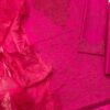 RANG RASIYA 2025 Collection CB - 5146 - Image 5