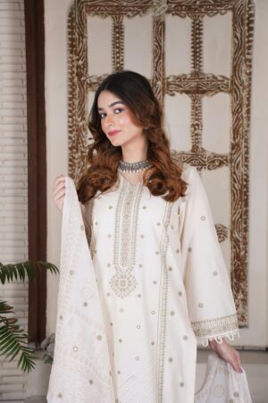 Printed Lawn 2 /pc Volume #5